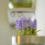 Smyrnis Appartement *