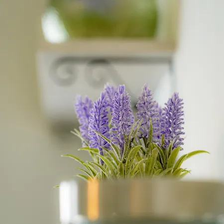 Smyrnis Apartment *